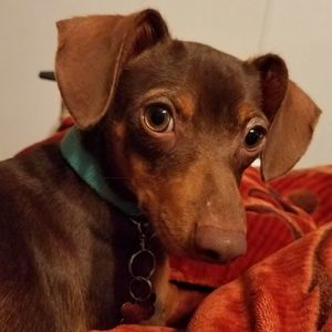 Meet your Posher, Christy